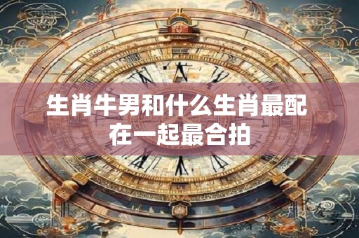 生肖牛男和什么生肖最配 在一起最合拍