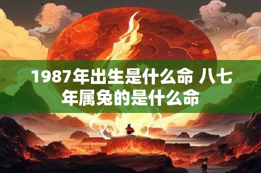 1987年出生是什么命 八七年属兔的是什么命