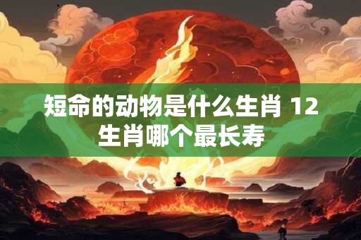 短命的动物是什么生肖 12生肖哪个最长寿