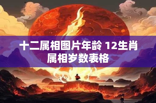 十二属相图片年龄 12生肖属相岁数表格