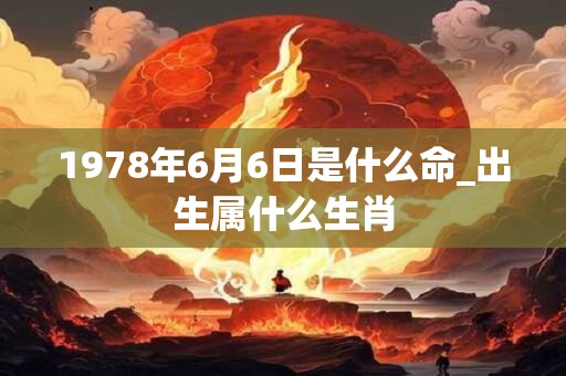 1978年6月6日是什么命_出生属什么生肖