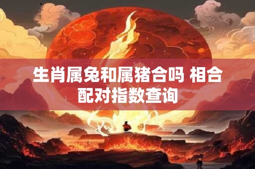 生肖属兔和属猪合吗 相合配对指数查询