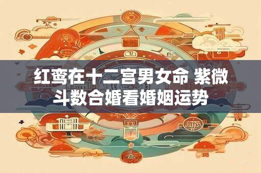 红鸾在十二宫男女命 紫微斗数合婚看婚姻运势