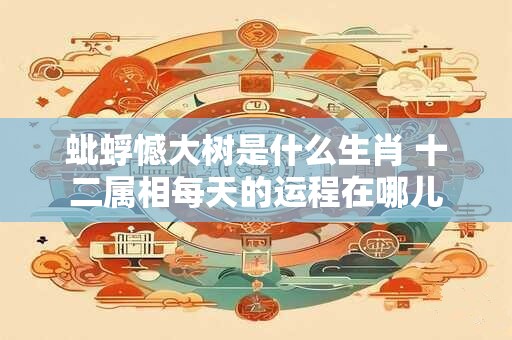 蚍蜉憾大树是什么生肖 十二属相每天的运程在哪儿