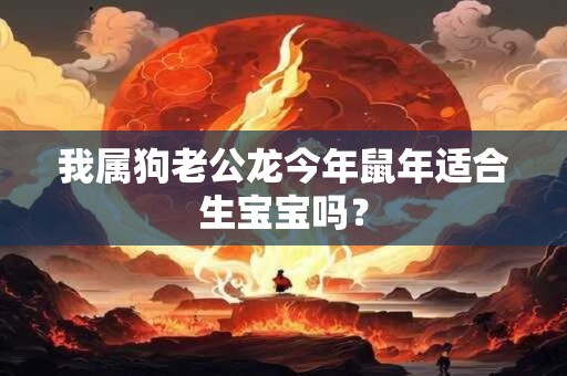 我属狗老公龙今年鼠年适合生宝宝吗? 我属狗老公龙今年鼠年适合生宝宝吗?