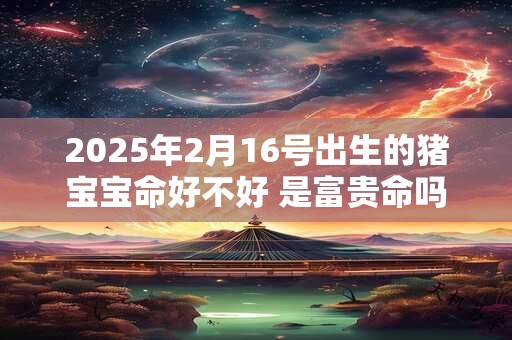 2025年2月16号出生的猪宝宝命好不好 是富贵命吗