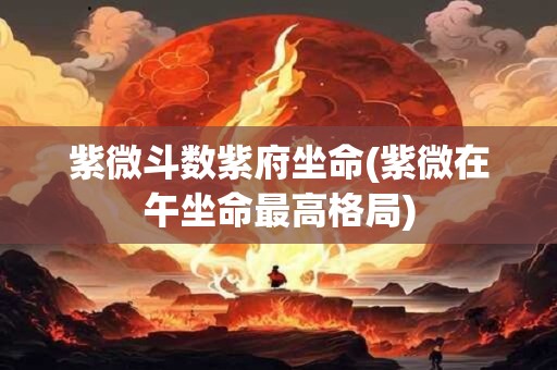 紫微斗数紫府坐命(紫微在午坐命最高格局)