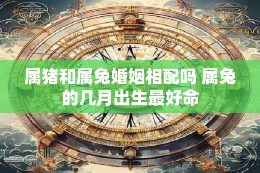 属猪和属兔婚姻相配吗 属兔的几月出生最好命