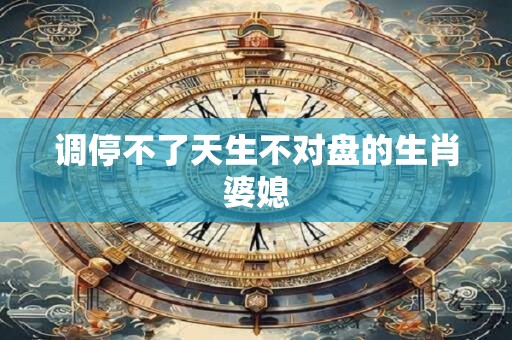 调停不了天生不对盘的生肖婆媳