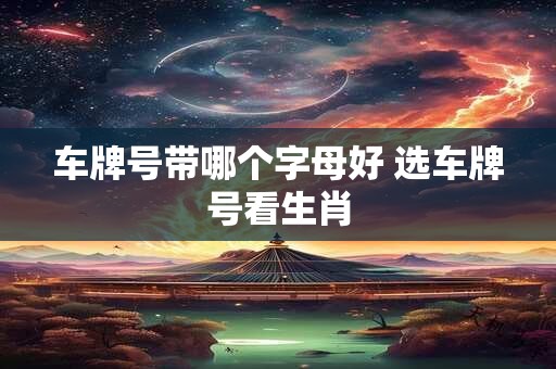 车牌号带哪个字母好 选车牌号看生肖