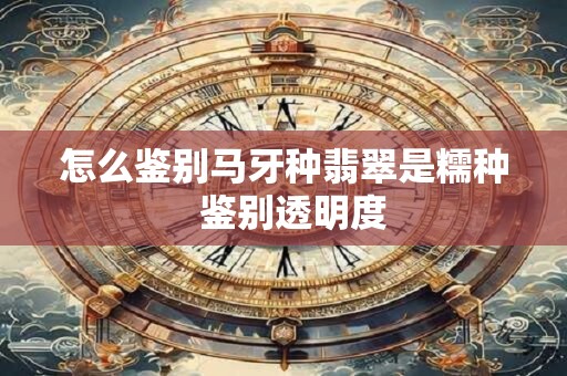 怎么鉴别马牙种翡翠是糯种  鉴别透明度