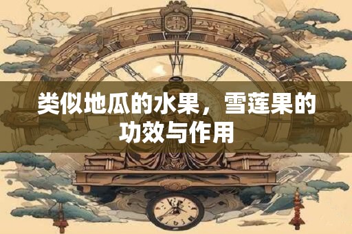 类似地瓜的水果，雪莲果的功效与作用