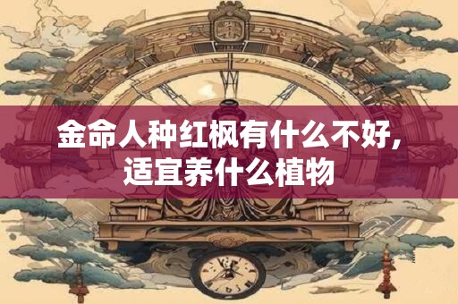 金命人种红枫有什么不好,适宜养什么植物