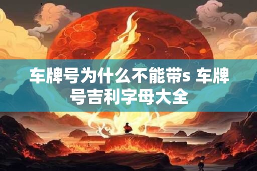 车牌号为什么不能带s 车牌号吉利字母大全