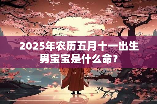 详细阅读:2025年农历五月十一出生男宝宝是什么命? 2025年农历五月十一出生男宝宝是什么命?