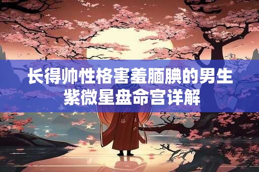 长得帅性格害羞腼腆的男生 紫微星盘命宫详解