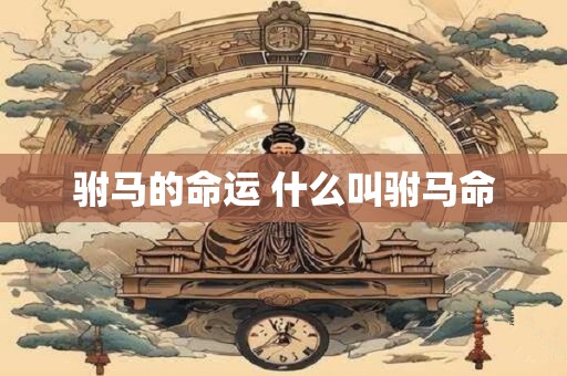 驸马的命运 什么叫驸马命
