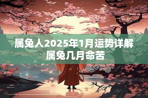属兔人2025年1月运势详解 属兔几月命苦