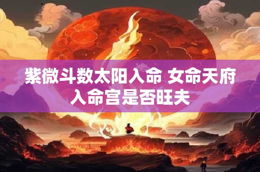 紫微斗数太阳入命 女命天府入命宫是否旺夫