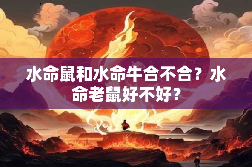 水命鼠和水命牛合不合？水命老鼠好不好？