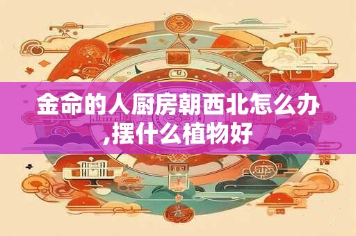 金命的人厨房朝西北怎么办,摆什么植物好