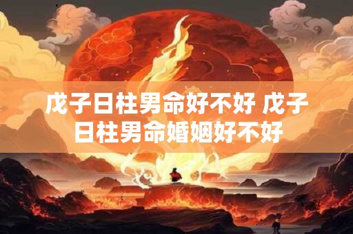 戊子日柱男命好不好 戊子日柱男命婚姻好不好