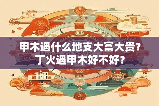 甲木遇什么地支大富大贵？丁火遇甲木好不好？