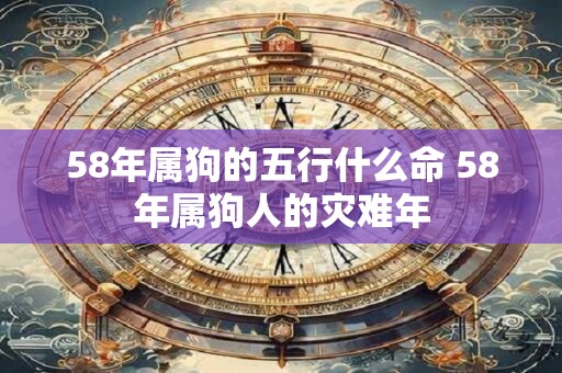 58年属狗的五行什么命 58年属狗人的灾难年