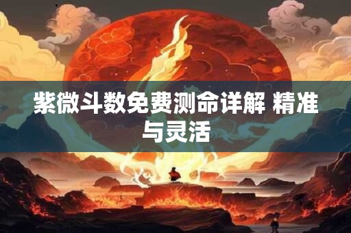 紫微斗数免费测命详解 精准与灵活