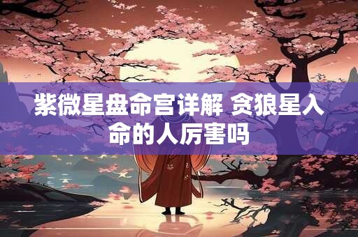 紫微星盘命宫详解 贪狼星入命的人厉害吗
