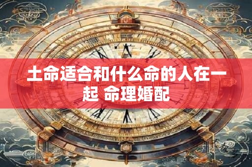 土命适合和什么命的人在一起 命理婚配