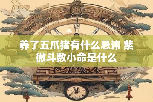 养了五爪猪有什么忌讳 紫微斗数小命是什么
