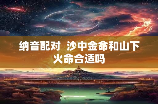 纳音配对  沙中金命和山下火命合适吗
