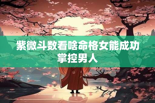 紫微斗数看啥命格女能成功掌控男人