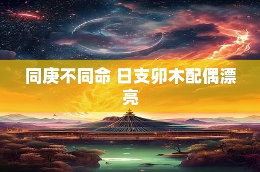 同庚不同命 日支卯木配偶漂亮