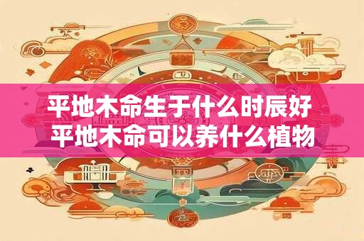 平地木命生于什么时辰好 平地木命可以养什么植物