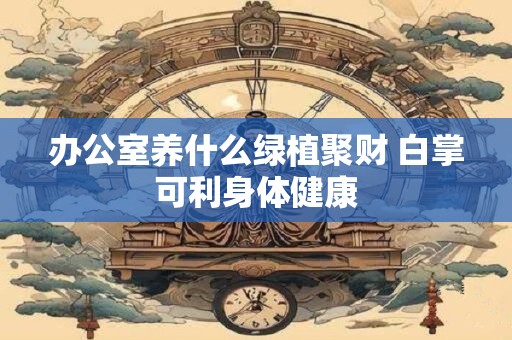办公室养什么绿植聚财 白掌可利身体健康