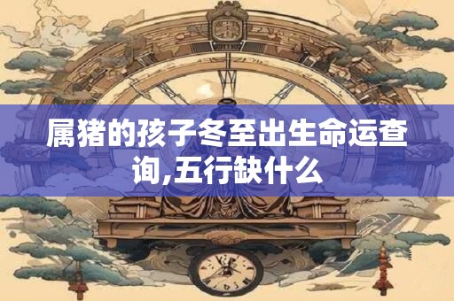 详细阅读:属猪的孩子冬至出生命运查询,五行缺什么 属猪的孩子冬至出生命运查询,五行缺什么