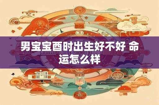 男宝宝酉时出生好不好 命运怎么样