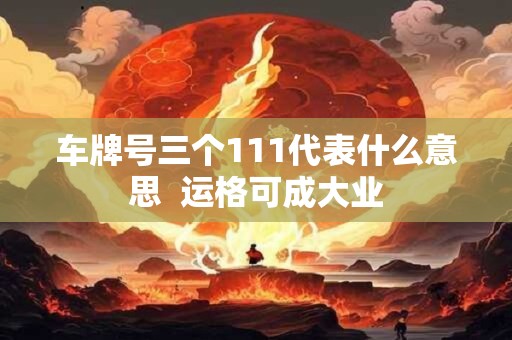 车牌号三个111代表什么意思  运格可成大业