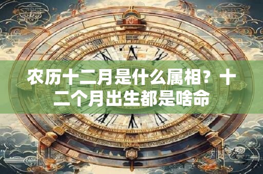 农历十二月是什么属相？十二个月出生都是啥命