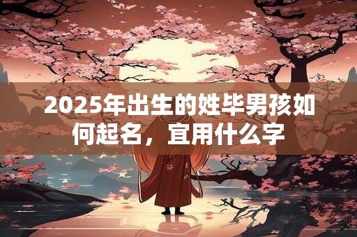 2025年出生的姓毕男孩如何起名，宜用什么字