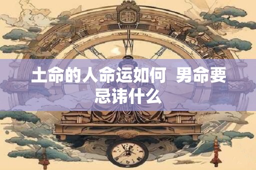 土命的人命运如何  男命要忌讳什么