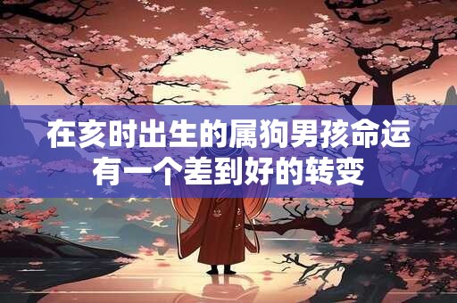 在亥时出生的属狗男孩命运有一个差到好的转变