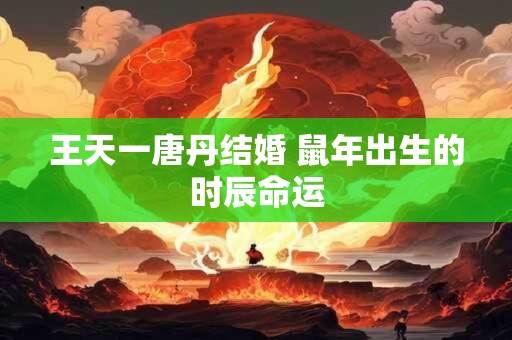 王天一唐丹结婚 鼠年出生的时辰命运
