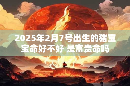 2025年2月7号出生的猪宝宝命好不好 是富贵命吗