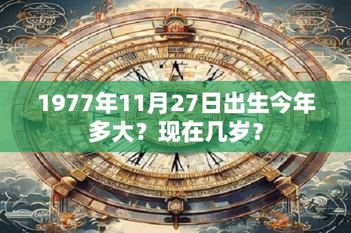 1977年11月27日出生今年多大？现在几岁？