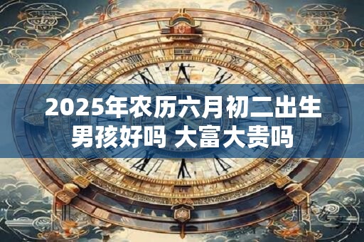 2025年农历六月初二出生男孩好吗 大富大贵吗