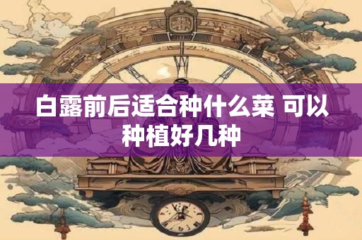 白露前后适合种什么菜 可以种植好几种