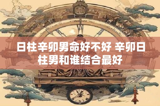 日柱辛卯男命好不好 辛卯日柱男和谁结合最好